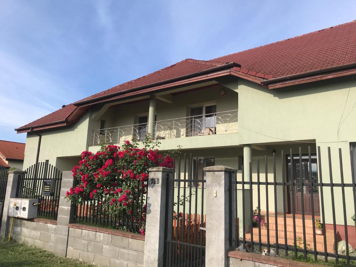 Villa Casa Vio Timişoara Exterior foto