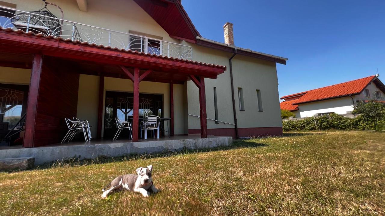 Villa Casa Vio Timişoara Exterior foto