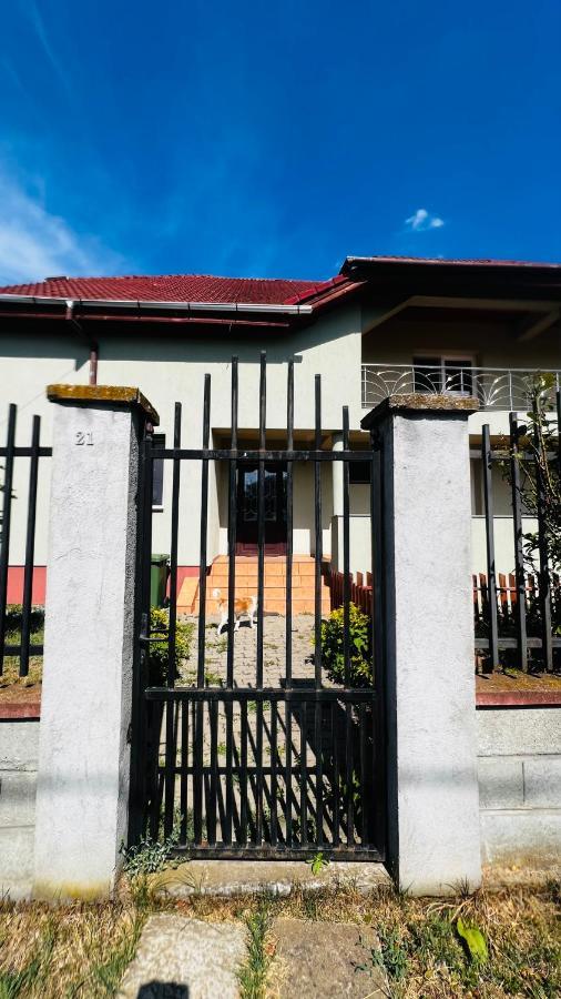 Villa Casa Vio Timişoara Exterior foto