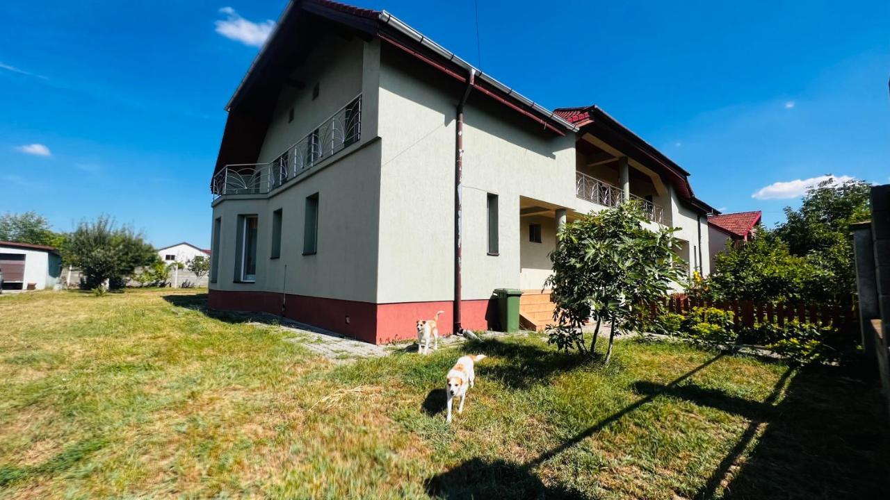 Villa Casa Vio Timişoara Exterior foto