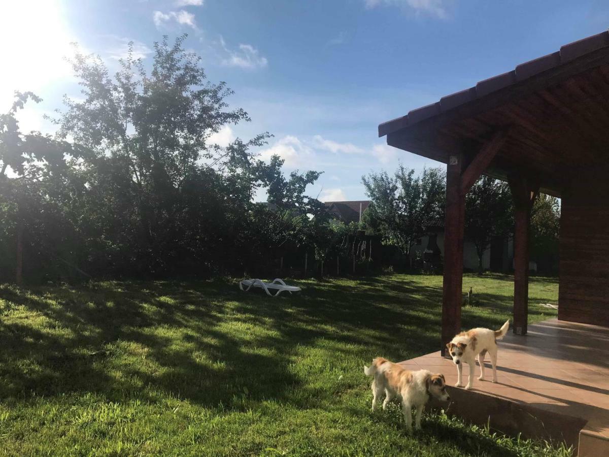 Villa Casa Vio Timişoara Exterior foto